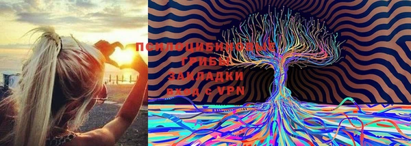 первитин Покровск