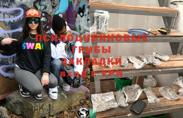 прущие крисы Белокуриха