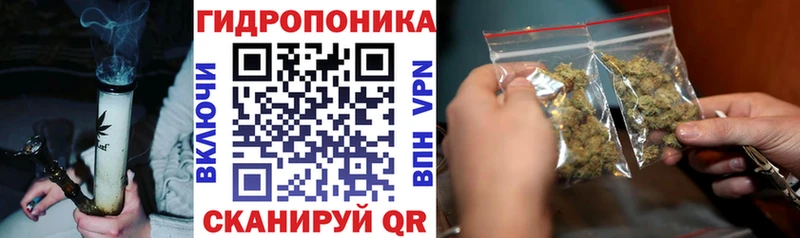как найти наркотики  Ветлуга  Марихуана Bruce Banner 